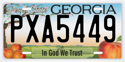 GA license plate PXA5449