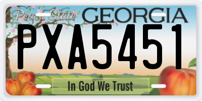 GA license plate PXA5451