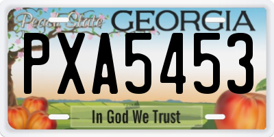 GA license plate PXA5453