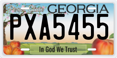 GA license plate PXA5455