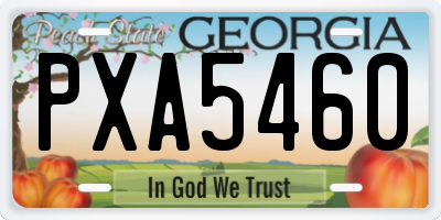 GA license plate PXA5460