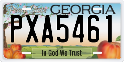 GA license plate PXA5461
