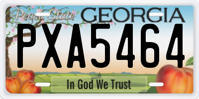 GA license plate PXA5464