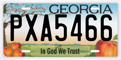 GA license plate PXA5466