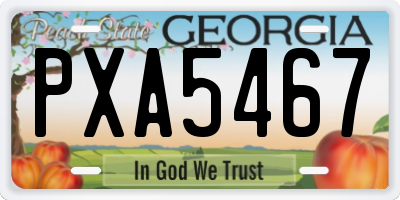 GA license plate PXA5467