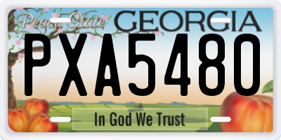 GA license plate PXA5480