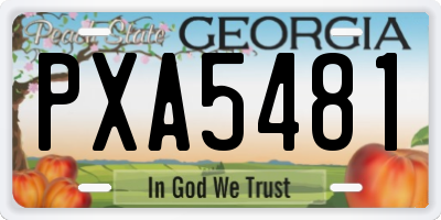 GA license plate PXA5481