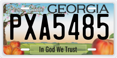 GA license plate PXA5485