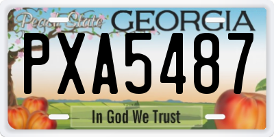 GA license plate PXA5487