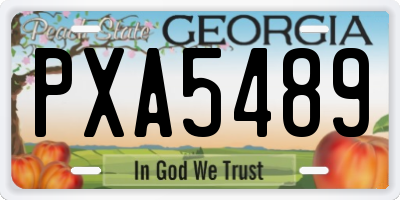 GA license plate PXA5489