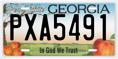 GA license plate PXA5491