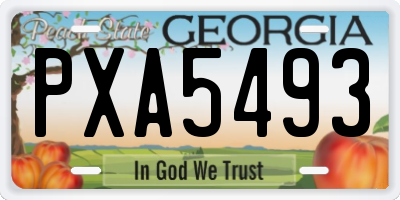 GA license plate PXA5493