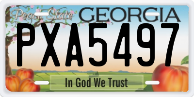 GA license plate PXA5497