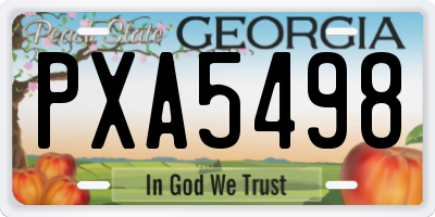 GA license plate PXA5498