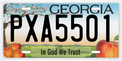 GA license plate PXA5501
