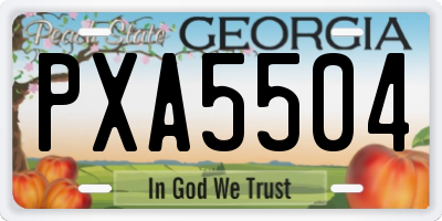 GA license plate PXA5504