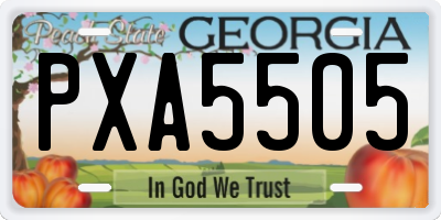 GA license plate PXA5505