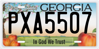 GA license plate PXA5507