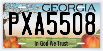 GA license plate PXA5508