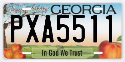 GA license plate PXA5511
