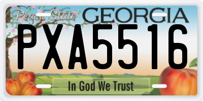 GA license plate PXA5516