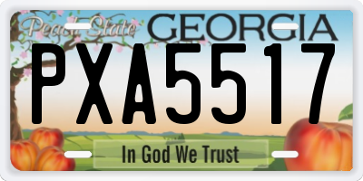 GA license plate PXA5517