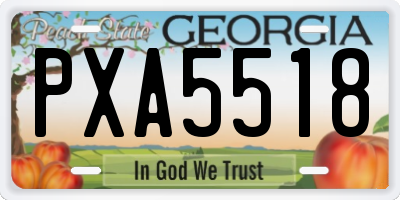GA license plate PXA5518