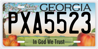 GA license plate PXA5523