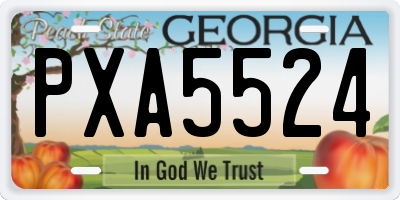 GA license plate PXA5524
