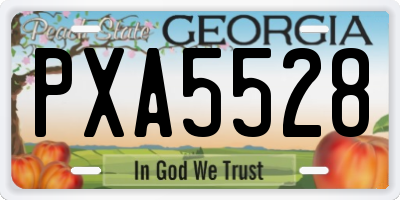 GA license plate PXA5528