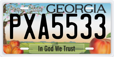 GA license plate PXA5533