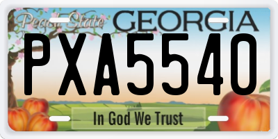 GA license plate PXA5540
