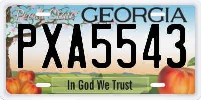 GA license plate PXA5543