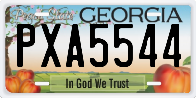 GA license plate PXA5544