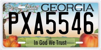GA license plate PXA5546