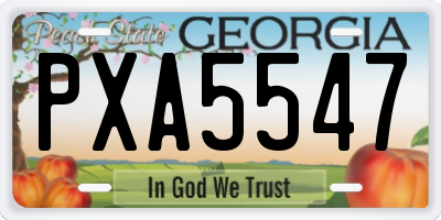 GA license plate PXA5547
