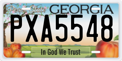GA license plate PXA5548