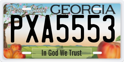 GA license plate PXA5553