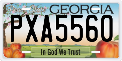 GA license plate PXA5560