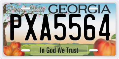 GA license plate PXA5564