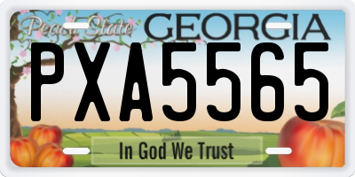 GA license plate PXA5565