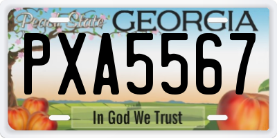 GA license plate PXA5567