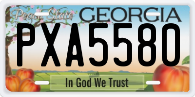 GA license plate PXA5580