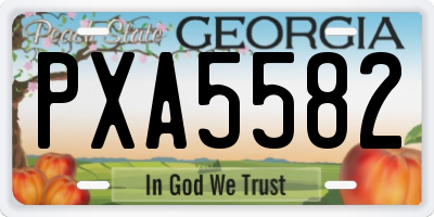 GA license plate PXA5582