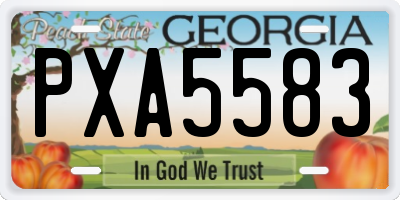 GA license plate PXA5583