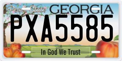 GA license plate PXA5585