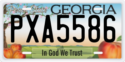 GA license plate PXA5586
