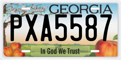 GA license plate PXA5587