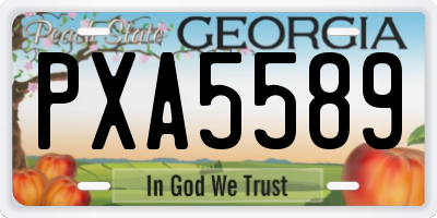 GA license plate PXA5589