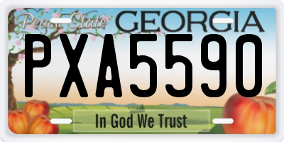 GA license plate PXA5590